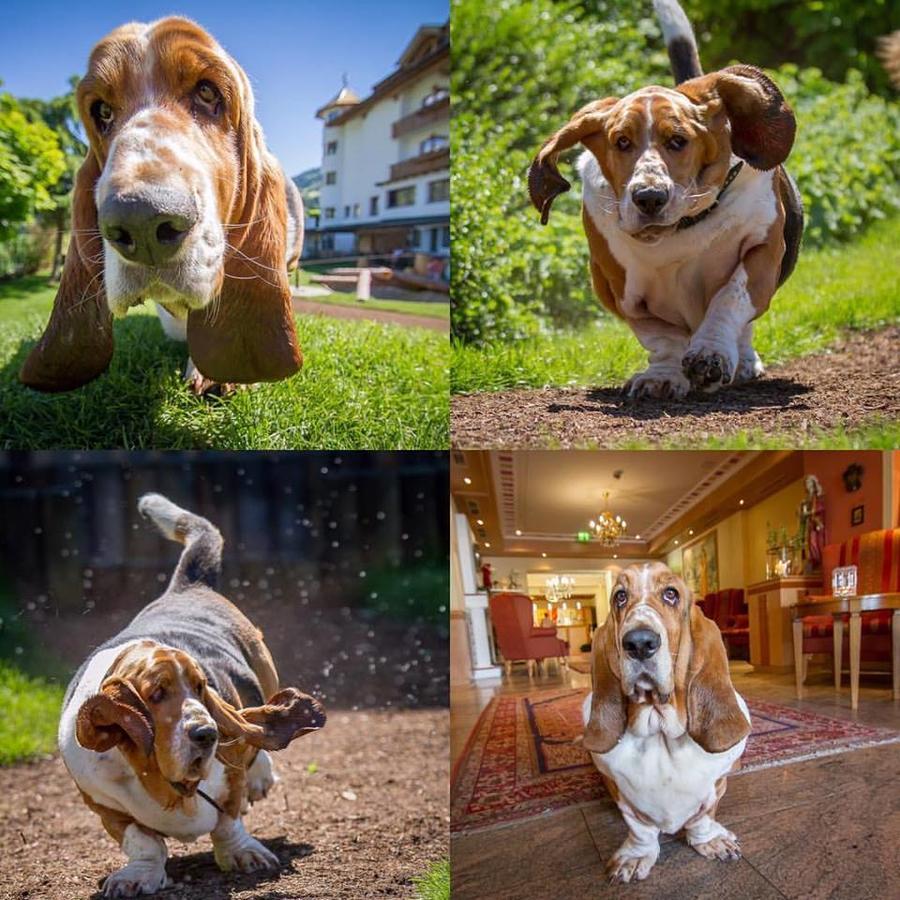 Hotel Magdalena Im Zillertal - Urlaub Mit Hund Ried im Zillertal Esterno foto